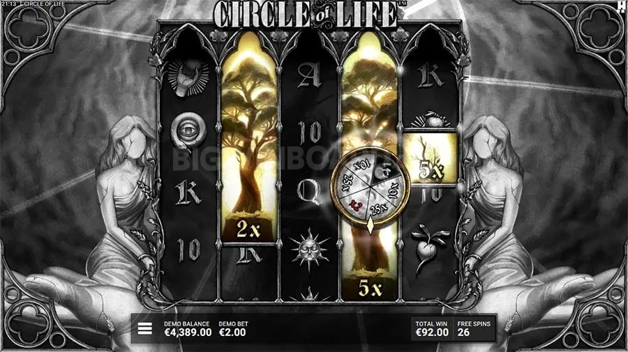 Live Casino Experience